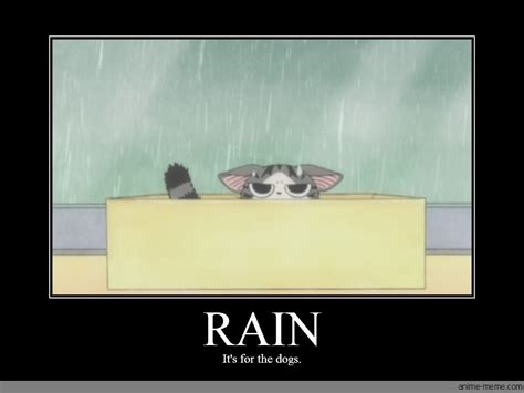 Funny Rain Memes
