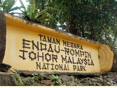 Perbadanan johor ialah sebuah syarikat kerajaan negeri johor, yang dahulunya digelar perbadanan kemajuan ekonomi negeri johor. Destinasi Percutian di Mersing Johor - Findbulous Travel