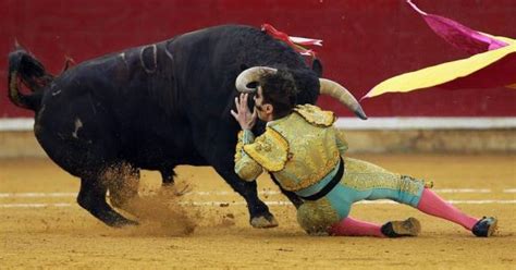 Bullfighting Maxim