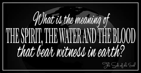 What Is The Meaning Of The Spirit The Water And The Blood That Bear