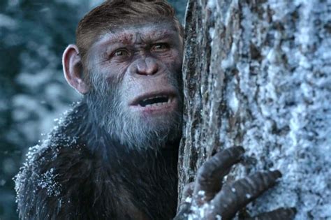 6 pics of caesar from ‘planet of the apes with a caesar