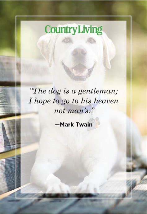 If Dogs Could Talk 10 Quotes That Will Make You Wish They Could