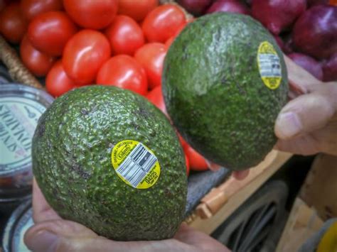 Bad News For Millennials Avocados Might Not Actually Be Vegan Friendly Ladbible