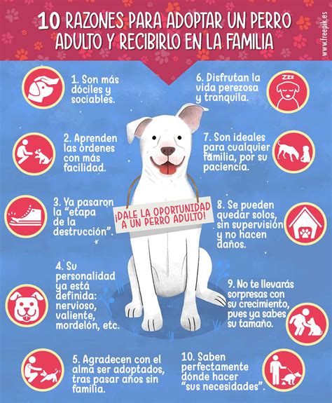 Infografía 10 Razones Para Adoptar Un Perro Adulto Y Recibirlo En La
