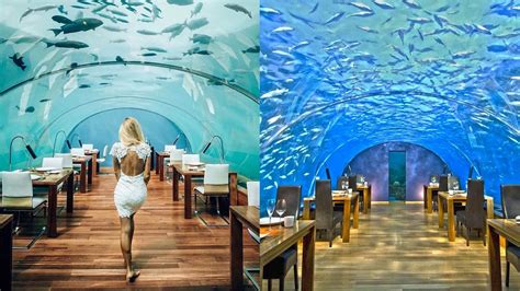 This Is What Its Like To Dine Underwater In The Maldives Tripoto