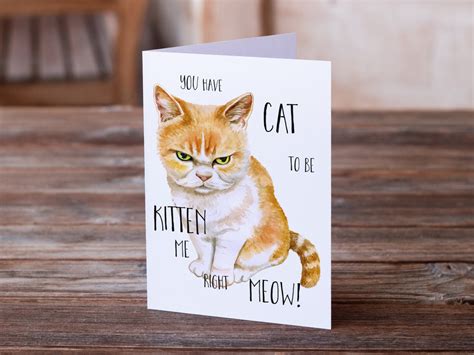 Creative Grumpy Cat Birthday Card Top Happy Birthday Hot Sex Picture