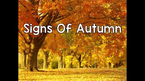 Signs Of Autumn Youtube
