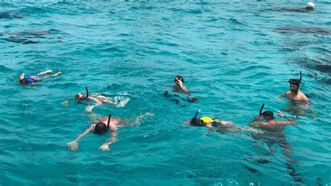 Coral Gardens Grand Cayman Snorkel Review 2023 All You Need To Know