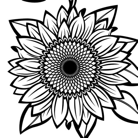 Black And White Sunflowers For Design Svg Sunflower Cut File Etsy