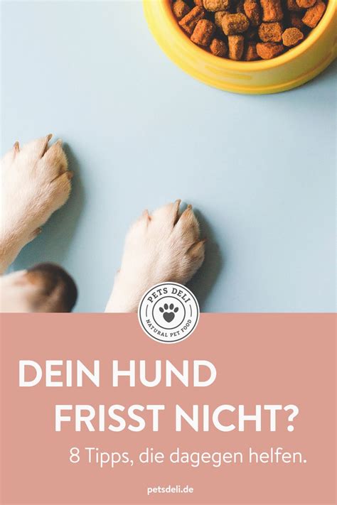 Hilfe Mein Hund Frisst Nicht Mehr Futterakzeptanz Bei Hunden