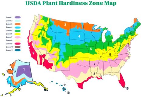 Find Your Planting Zone In Ohio