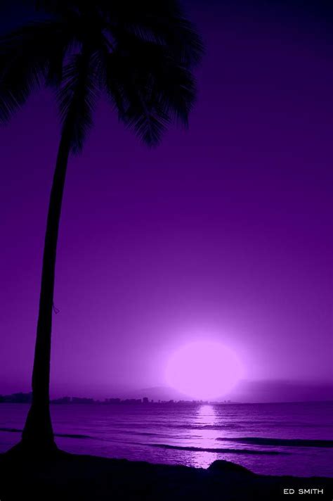 Pupura Puerto Rico By Edward Smith Purple Haze Purple Aesthetic