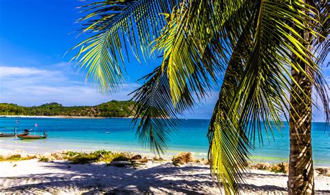 Kostenlose Foto Strand Landschaft Meer Küste Baum Natur Ozean