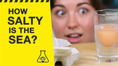 How Salty Is The Sea Try This Easy Science Experiment At Home Youtube