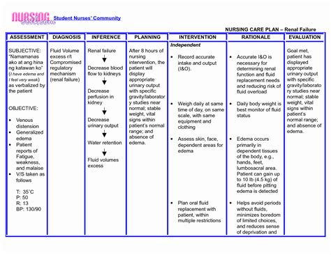 Nursing Care Plan Template Word Ms Word Personal And Business Plan
