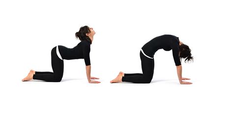 Yoga Poses For Belly Fat Loss Effective Method Healthy Life
