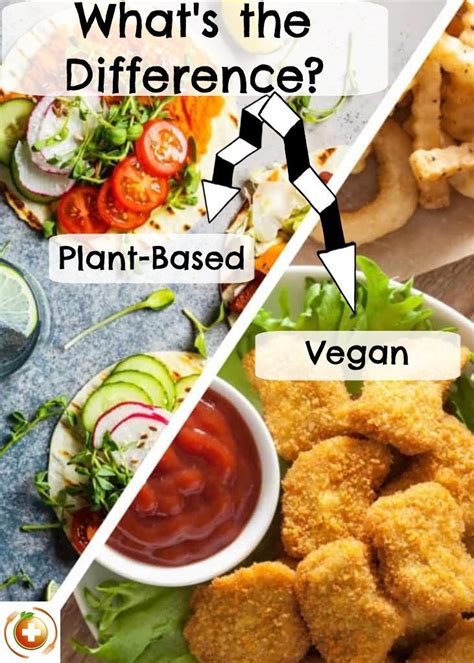 what s the difference between plant based and vegan in 2021 vegan recipes healthy food