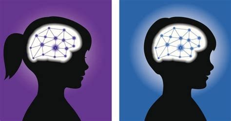 Research Summary Sex Differences In Gray Matter Reductions May