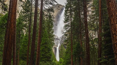 Waterfall At Yosemite Framed By Pine Trees California Usa Windows