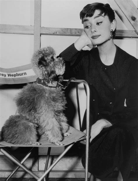 5 Little Known Facts About Iconic Actress Audrey Hepburn