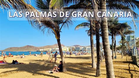 Las Palmas De Gran Canaria Beach Walking Tour Of Playa Las Canteras Best Urban Beach In