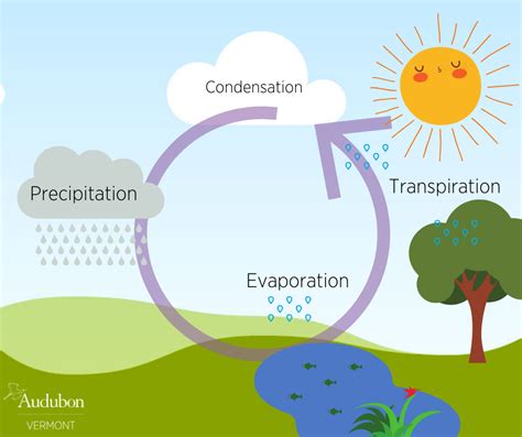 Chart Of Water Cycle