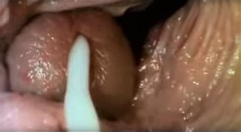 Male Orgasm Inside Vagina Cumception