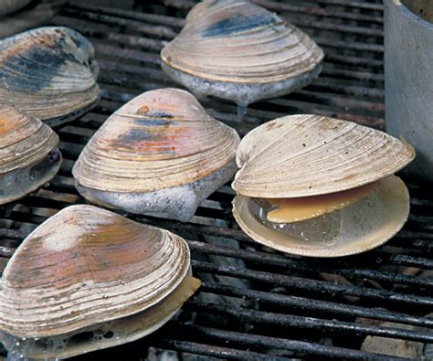 Remove frozen clams from the freezer 24 hours before cooking, and let them thaw in the refrigerator. Grilling Clams and Oysters - How-To - FineCooking