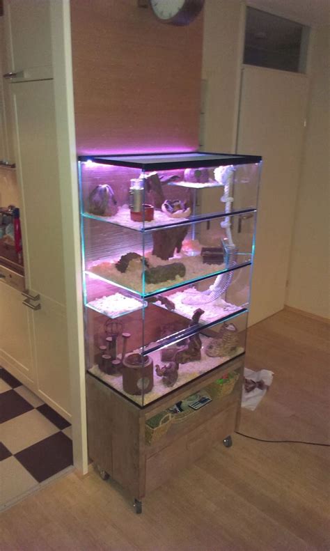 Check out our gerbil cage selection for the very best in unique or custom, handmade pieces from our pet houses shops. 1000+ images about DIY cages for small pet on Pinterest | Ikea billy, Cavy and Hedgehog cage