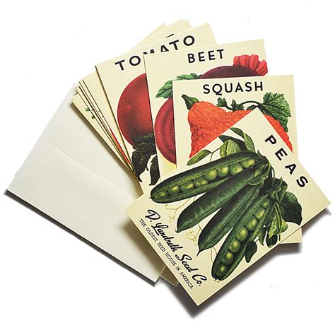 Heirloom Vegetable Seed Packet Note Cards Seed Packets