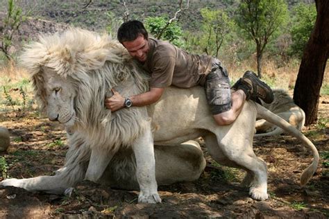 The Lion Whisperer Kevin Richardson ~ Damn Cool Pictures