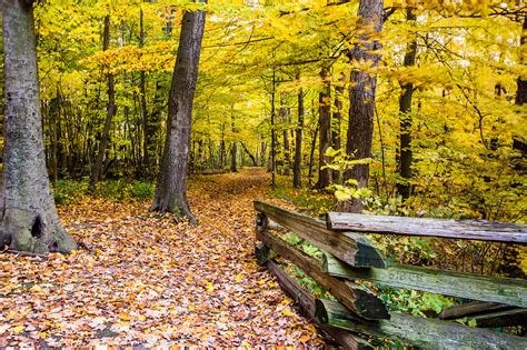 Autumn Pathway Photograph By Randy Scherkenbach Fine Art America