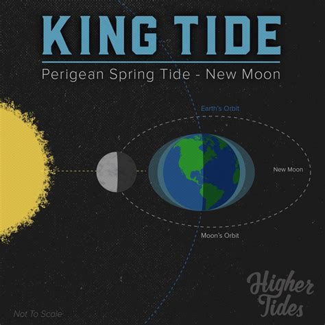 New Moon King Tide Infographic Moon Moon New Moon Full Moon Spring Tide Ocean Science Tv
