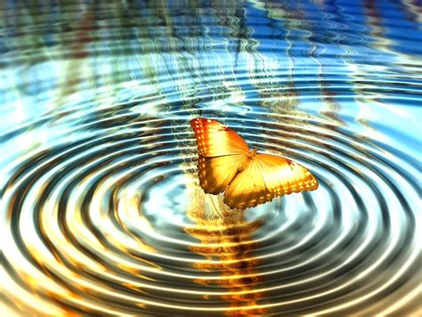 The Butterfly Effect Healing And Transformation