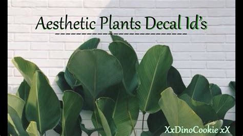 Roblox Bloxburg Aesthetic Plants Decal Ids Youtube