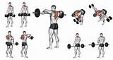 Trapezius Exercises Muscle Pictures