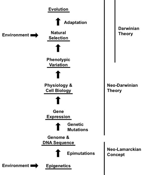 Unified Theory of Evolution: Darwin's theory that natural selection drives evolution is ...