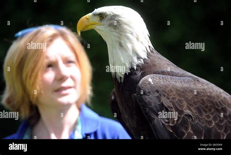 Holly Cale Curator At The International Birds Of Prey Centre In Newent