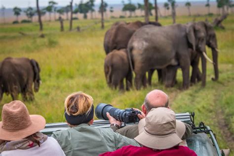 The 10 Best Places For African Safari Tours