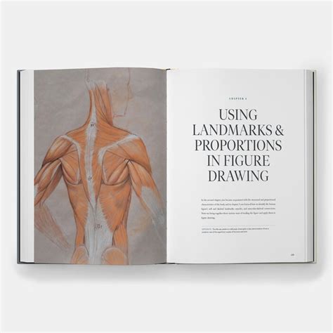 Dynamic Human Anatomy An Artists Guide To Structure Gesture And The