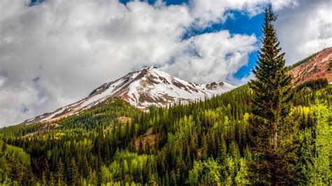 Snowy Peak Mountain Nature Landscape Colorado Forest Clouds Pine