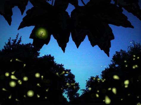 Fireflies Maple Twilight By Luciaangelina On Deviantart