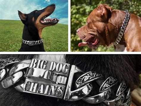Big Dog Chains 316l Stainless Steel Dog Jewelry Collars Big Dog