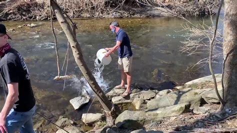 Zabel Helps Stock Trout In Darby Creek Youtube