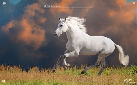 Seven running horses hd wallpaper available in different dimensions. White Horses HD Wallpapers New Tab Theme - Chrome Web Store