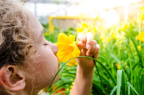 Humans Are Slowly Losing Their Sense Of Smell New Research Indicates