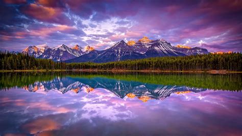 Nature Lake Water Snowy Peak Forest Canada Mountains Reflection