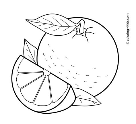 What do tropical coloring pages do for kids? Orange fruits coloring pages for kids, printable free ...