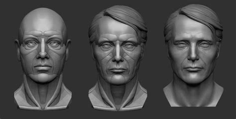 3d Printable Model Planar Simplified Male Head Cgtrader Face Anatomy