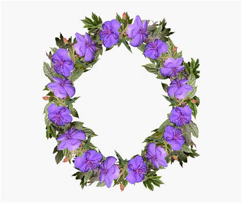 Check spelling or type a new query. Transparent Rustic Border Png - Bingkai Daun Hijau ...